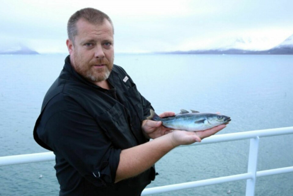 The author with the first saithe caught in Kongsfjorden.