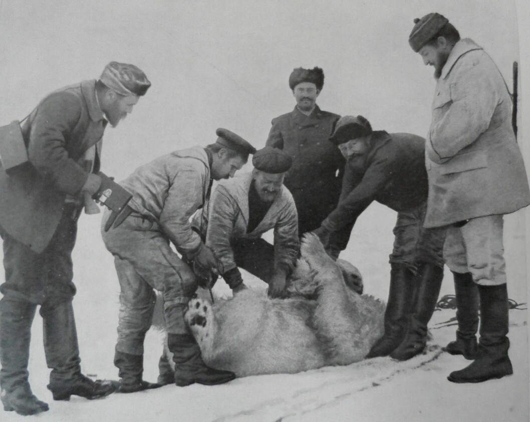 TROFÉ: Mange isbjørnskinn ble tatt med hjem fra jaktturer på Svalbard. De pryder fortsatt herskapshus nedover på Kontinentet.