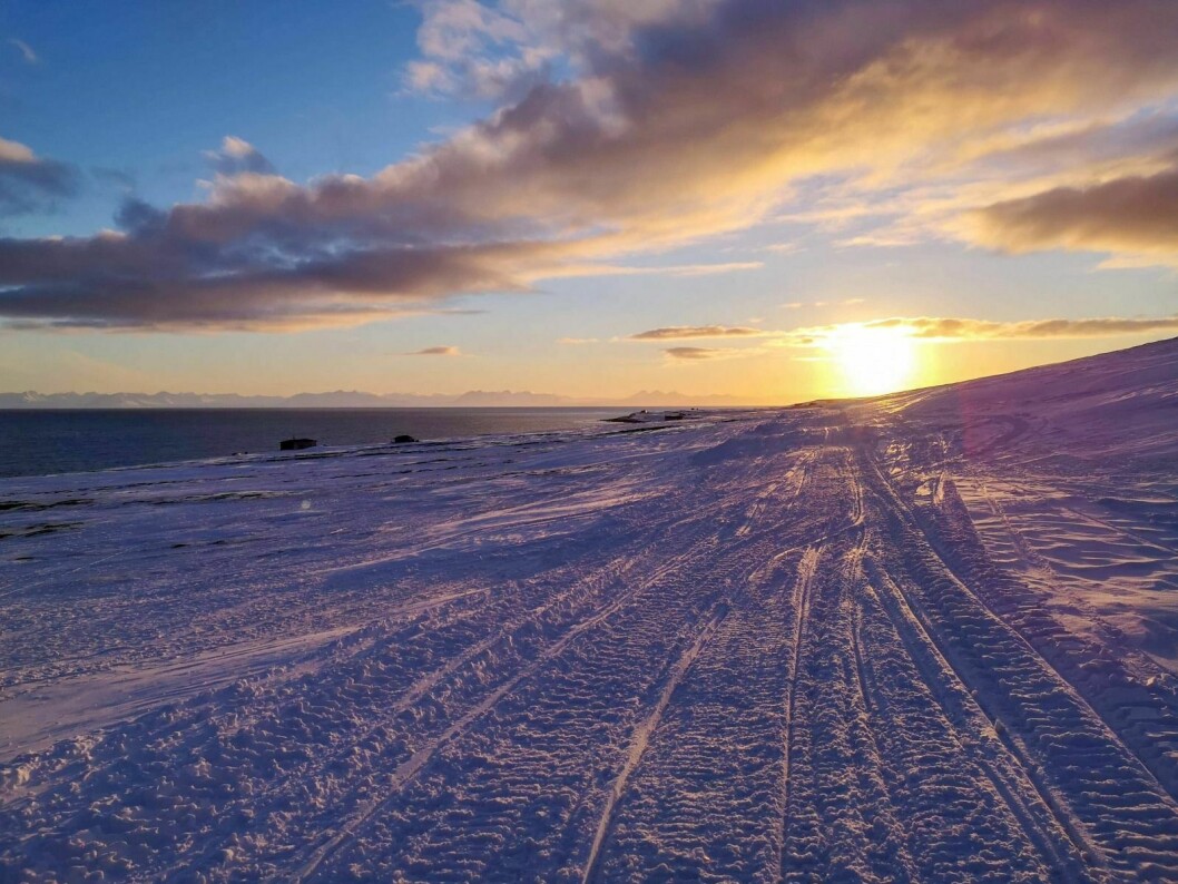 Svalbard Skimaraton skal gå fra byhundegården til Hiorthamn, Advent City og Hanaskogdalen .