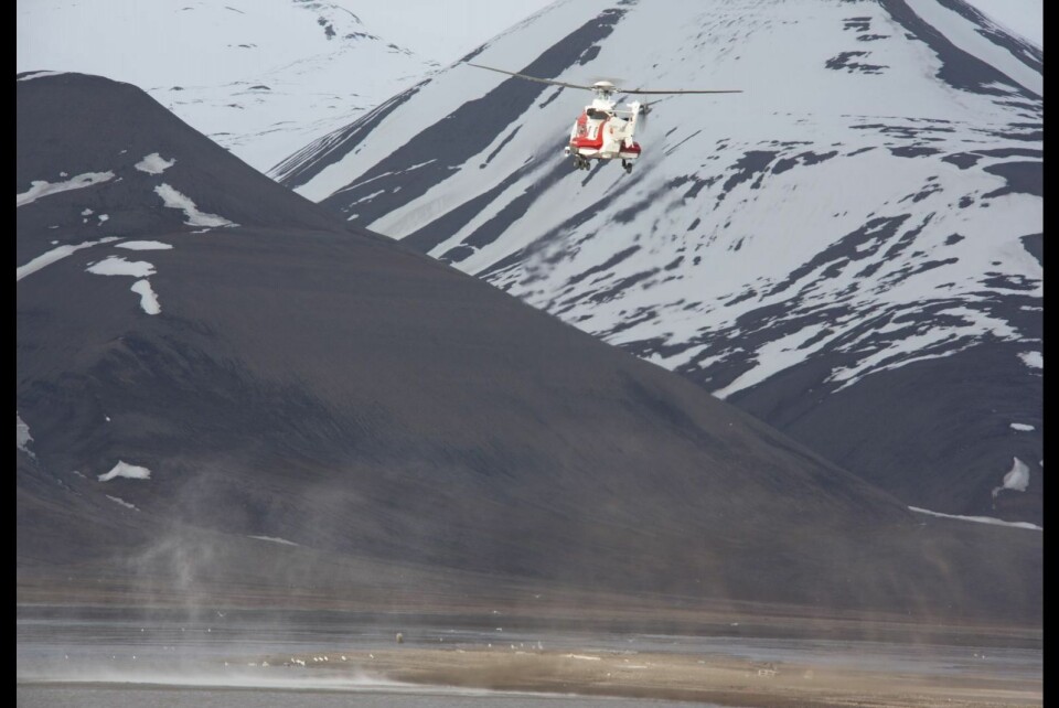 Måtte bruke helikopter for å jage isbjørn bort fra byen