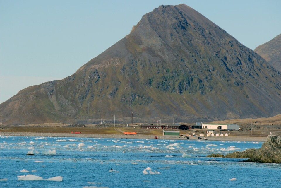 En isbjørn har i noen uker oppholdt seg rundt forskningsstasjonen Hornsund.