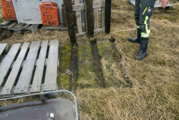 Tundraen skal i utgangspunktet ikke skades, men både snøskutere og paller lager stygge merker. Tundraen skal i utgangspunktet ikke skades, men både snøskutere og paller lager stygge merker.