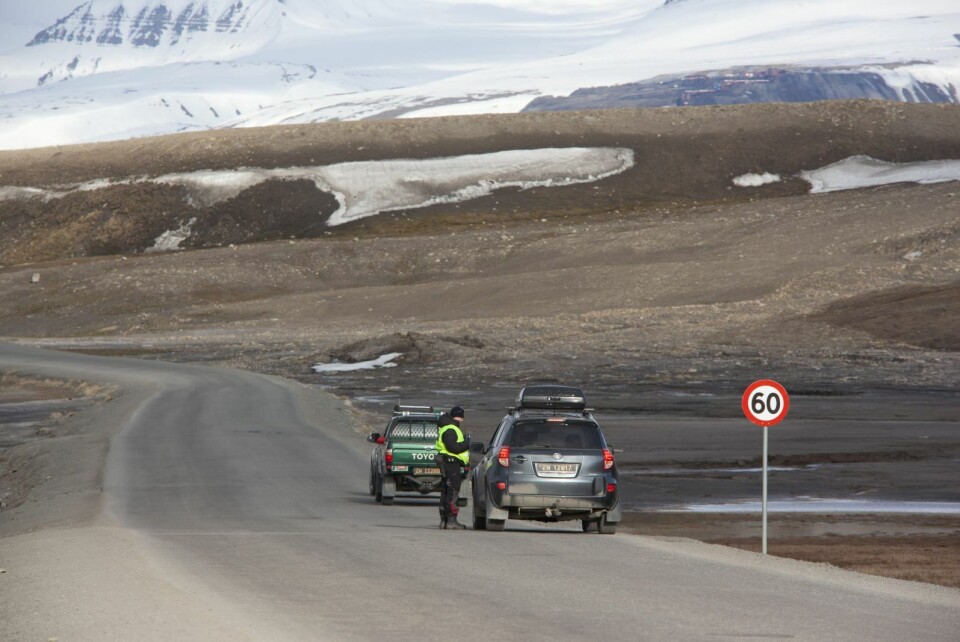 Sysselmannsførstebetjent Lisbeth Hansen ba bilister snu for å holde god avstand til bjørnen fredag kveld.