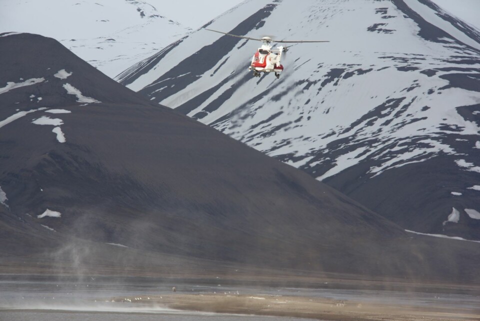 Med helikopter fredag kveld og båt natt til lørdag skremte Sysselmannen bjørnen bort fra byen.