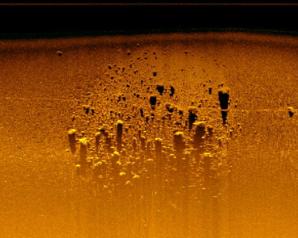 Vrakrester?: Visualisering av data fra sonarene under AUV-en. Objektene er potensielt gjenværende rester av vrak. Hva det med sikkerhet er, vil ikke forskerne kunne si før de er tilbake og har fått undersøkt funnet med enten dykkere eller en ROV med kamera.