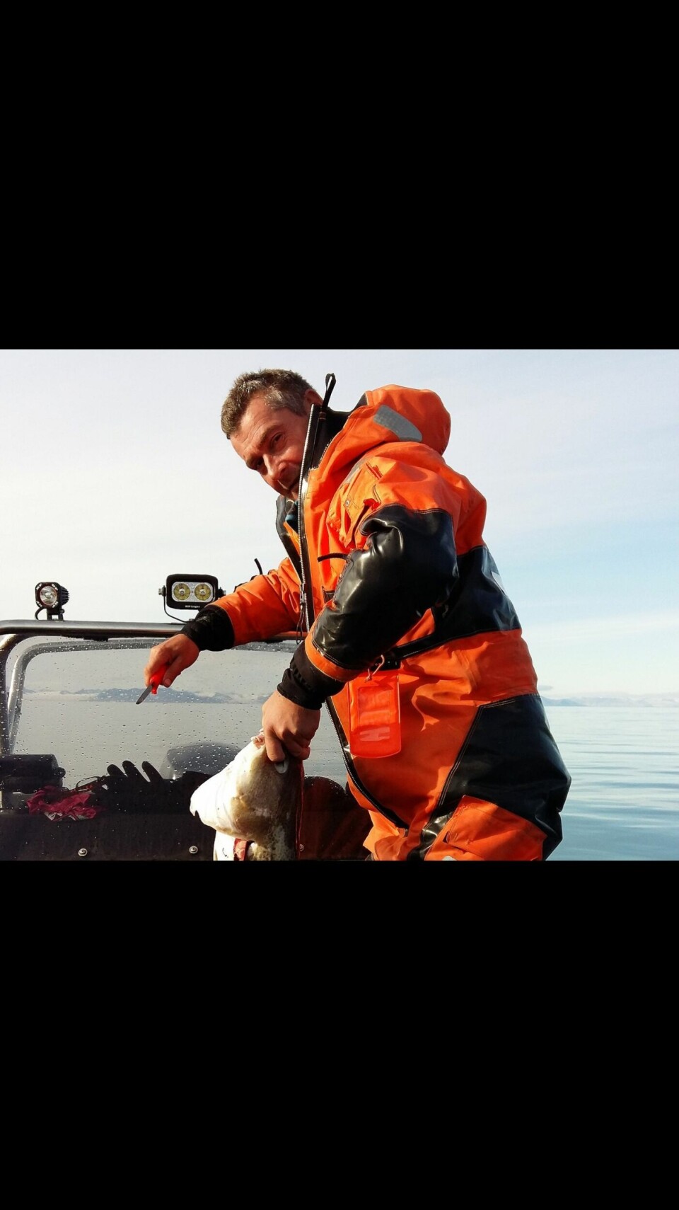 Torskefeberen herjer på Isfjorden