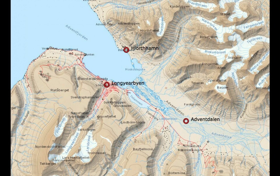 Isbjørnene befinner seg i Hiorthhamn på andre siden av Adventfjorden.