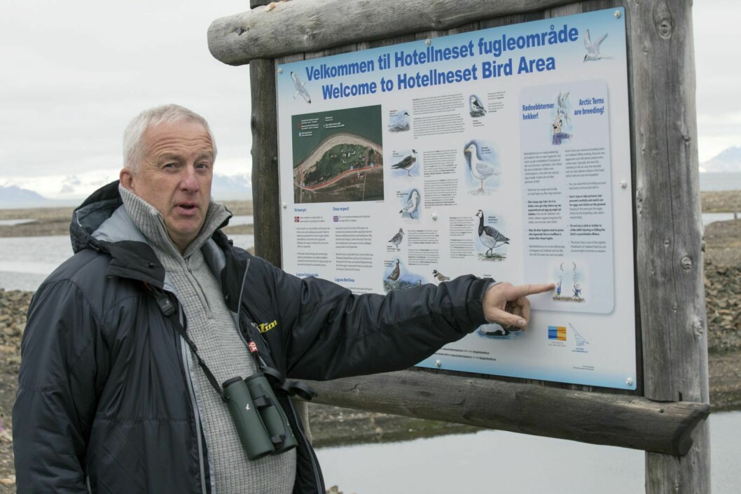 Bjørn Frantzen i Longyearbyen feltbiologiske forening har allerede vært med på å tilrettelegge for hekkende fugler ved campingplassen. Nå har han ledet arbeidet med å beskrive alt man kan oppleve på vei fra Bjørndalen til byhundegården i en ny rapport.