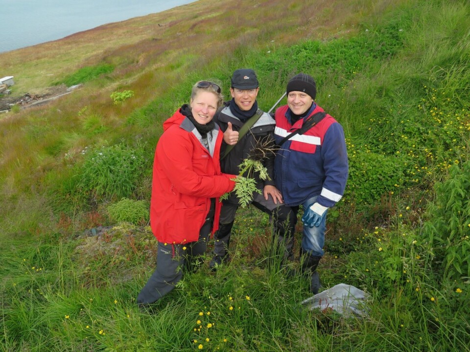 Økolog Virve Ravolainen, seniorrådgiver Paul Lutnæs fra Sysselmannen og assisterende overingeniør Denis Sjtsjerba fra Trust Arktikugol. Bildet ble tatt under fjorårets fjernng av den ene hundekjeksen i Barentsburg.