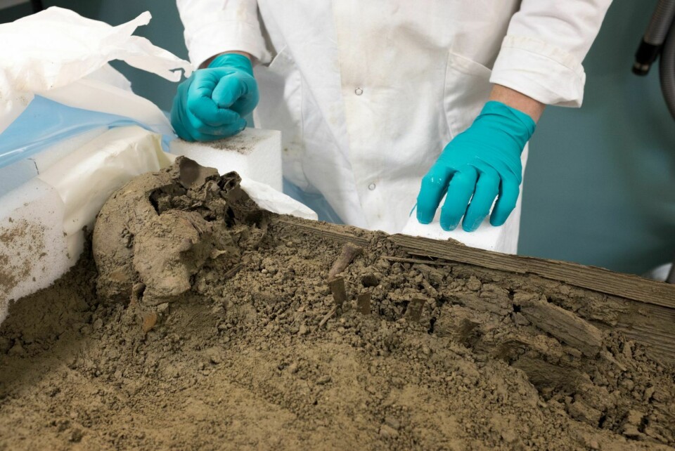 Så langt har arkeologene gravd frem en knust hodeskalle og fem ribbein fra kista som ble hentet inn fra Smeerenburg i august.
