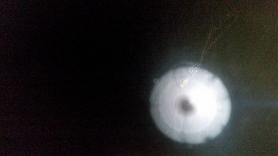 Bjørnene fotografert fra helikopteret.