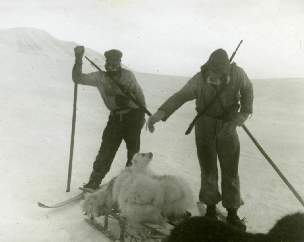 På bildet ser vi to av Bjåen-karene som frakter et lass med skinn. Med på lasset er en levende isbjørnunge.