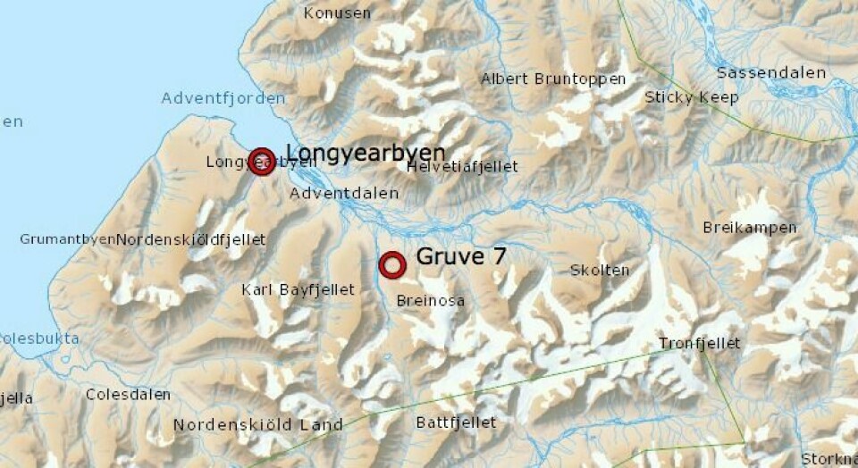 Det er omtrent 12 kilometer i luftlinje fra Longyearbyen og ut til Gruve 7-fjellet der isbjørnbinna og de to ungene ligger.