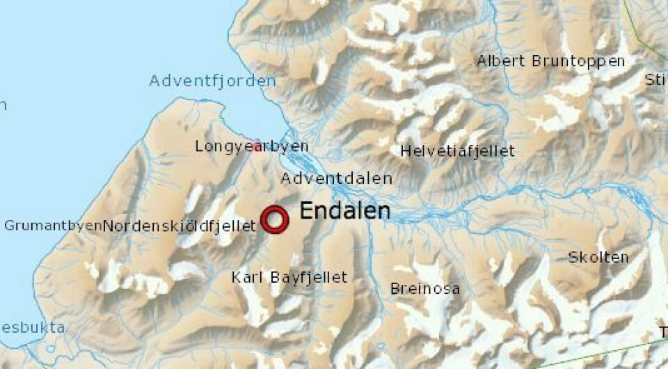 Bjørnene ble sist sett midt på dagen i dag, i Endalen.