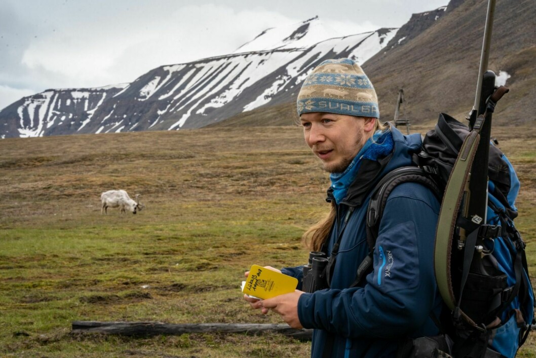 HOLDER TELLINGEN: Lukasz Ulbrych har vært med å telle reinsdyr i Adventdalen i over ti år. Aldri før har de sett så mange som i dette året.