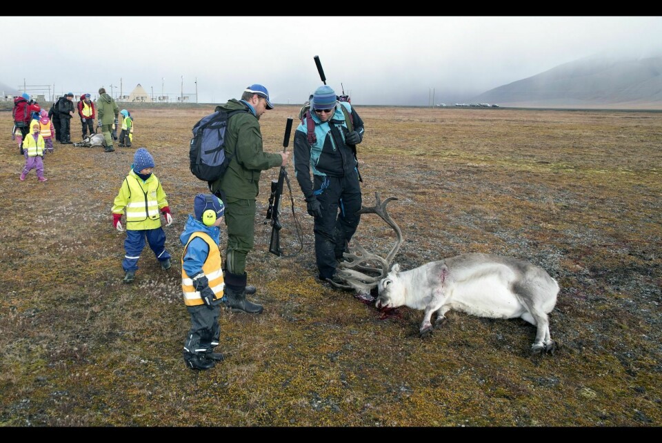 Polarflokken barnehage på reinjakt i Adventdalen i 2014.