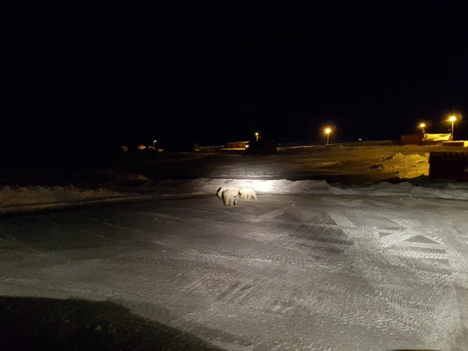 Mora tok med seg ungene på «bytur» til Svea.