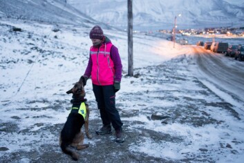 Mali Strømsvåg var med og starte opp Norske Redningshunder Svalbard. Her venter hun og «Grappa» på å starte søk etter markørene som har gjemt seg oppe ved Sverdrupbyen. Mali Strømsvåg var med og starte opp Norske Redningshunder Svalbard. Her venter hun og «Grappa» på å starte søk etter markørene som har gjemt seg oppe ved Sverdrupbyen.