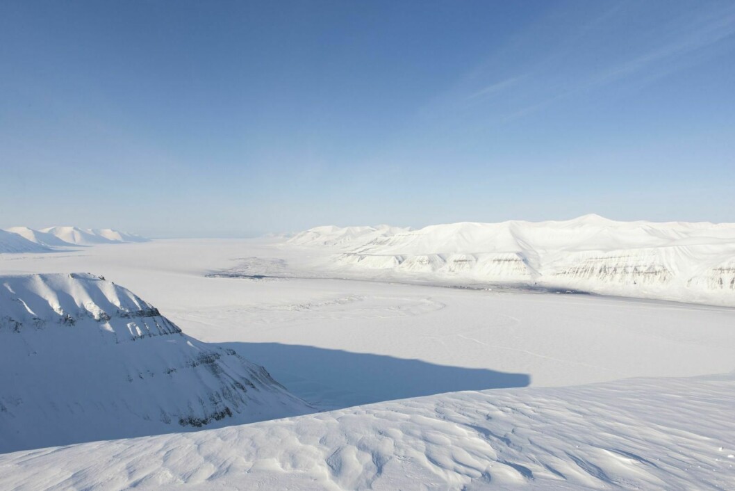 VAN MIJENFJORDEN: Fjorden er den mest isdekte på vestsiden av Spitsbergen, og er levested for isbjørn, sel og andre arter som er avhengige av havis. Samtidig er den stadig mer trafikkert av turister og fastboende, og det er årsaken til ønsket om å verne den. De to svarte områdene langs land er Kapp Amsterdam til venstre og Svea til høyre. (Arkivfoto: Birger Amundsen)
