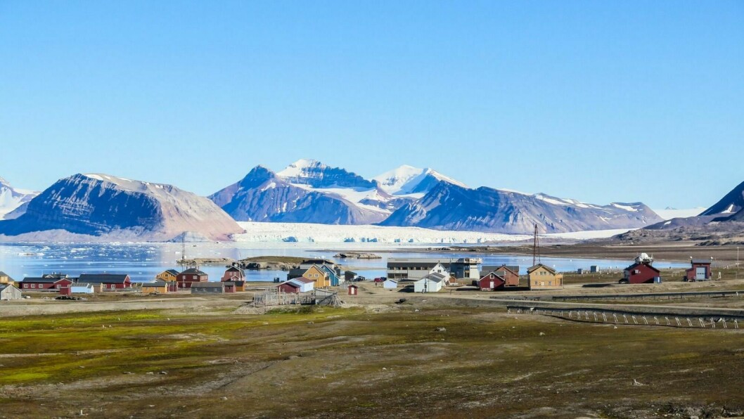 Når 1.400 cruiseturister flommer inn over Ny-Ålesund, kan det være overveldende for de fastboende. Men hvis turistene er godt forberedt går alt så mye lettere, skriver Kings Bay-ansatt Marte Agneberg Dahl til Svalbardposten.