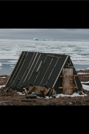 Bjørnehiet i Rijpfjorden. Hytta ble satt opp av Norsk Polarinstitutt i 1967 i forbindelse med isbjørnforskning. Dette bildet er tatt i august 2007 og viser drivis fra polarhavet i bakgrunnen. De siste årene har det vært lite drivis i fjorden, noe som gjenspeiles i at det blir funnet mye mindre isfauna i fjorden. Bjørnehiet i Rijpfjorden. Hytta ble satt opp av Norsk Polarinstitutt i 1967 i forbindelse med isbjørnforskning. Dette bildet er tatt i august 2007 og viser drivis fra polarhavet i bakgrunnen. De siste årene har det vært lite drivis i fjorden, noe som gjenspeiles i at det blir funnet mye mindre isfauna i fjorden.