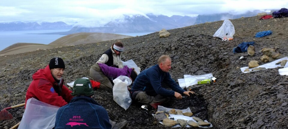 Verdens liv kan ha overlevd på Svalbard