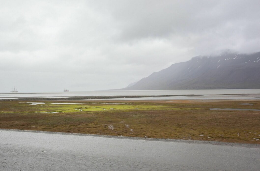 VÅTT: Det har vært en våt sommer i Adventdalen og ellers på Svalbard, over normalen vått.
