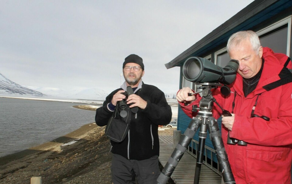Stig Hammer (t.v.) og Bjørn Frantzen mener den beste fugletitterplassen på Svalbard ligger på Sjøskrenten. Her har også Longyearbyen feltbiologiske forening sin hytte som er åpen for alle.