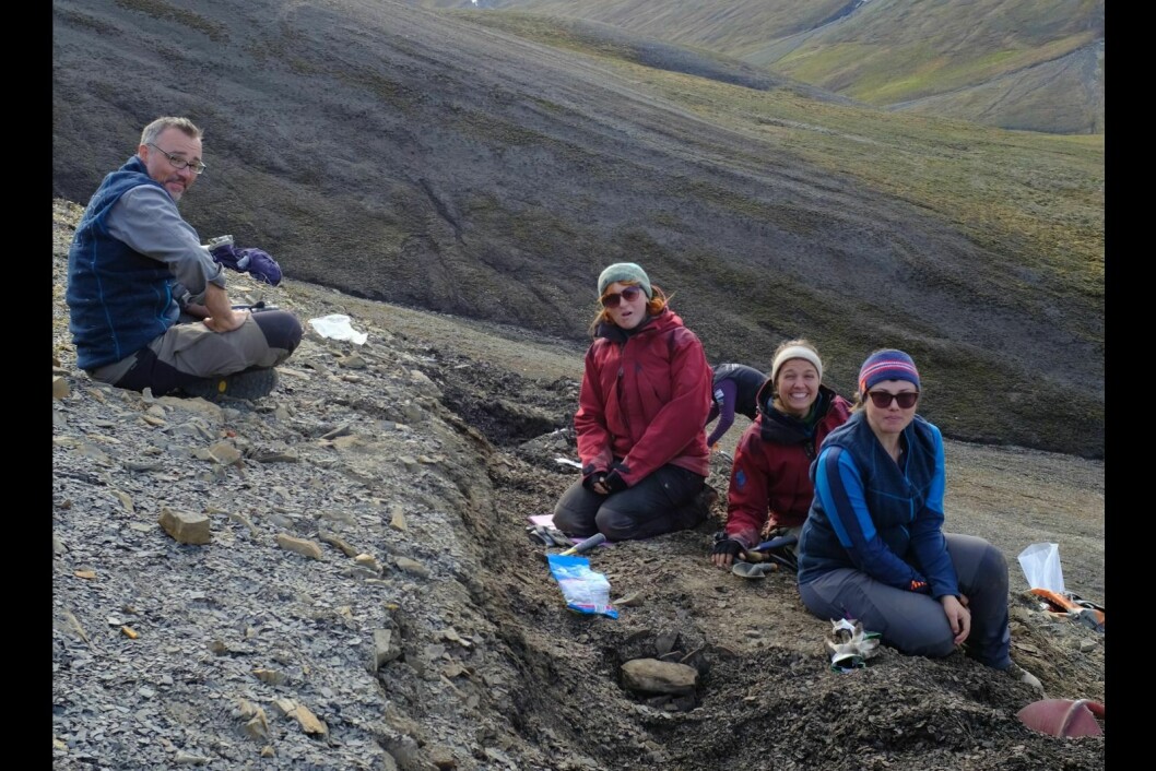 Øglegraverne var på Svalbard i sommer og gjorde også i år gode funn. Fra venstre: Benjamin Kear, Victoria Sjøholt Engelschiøn, Lene Delsett og Aubrey Roberts.