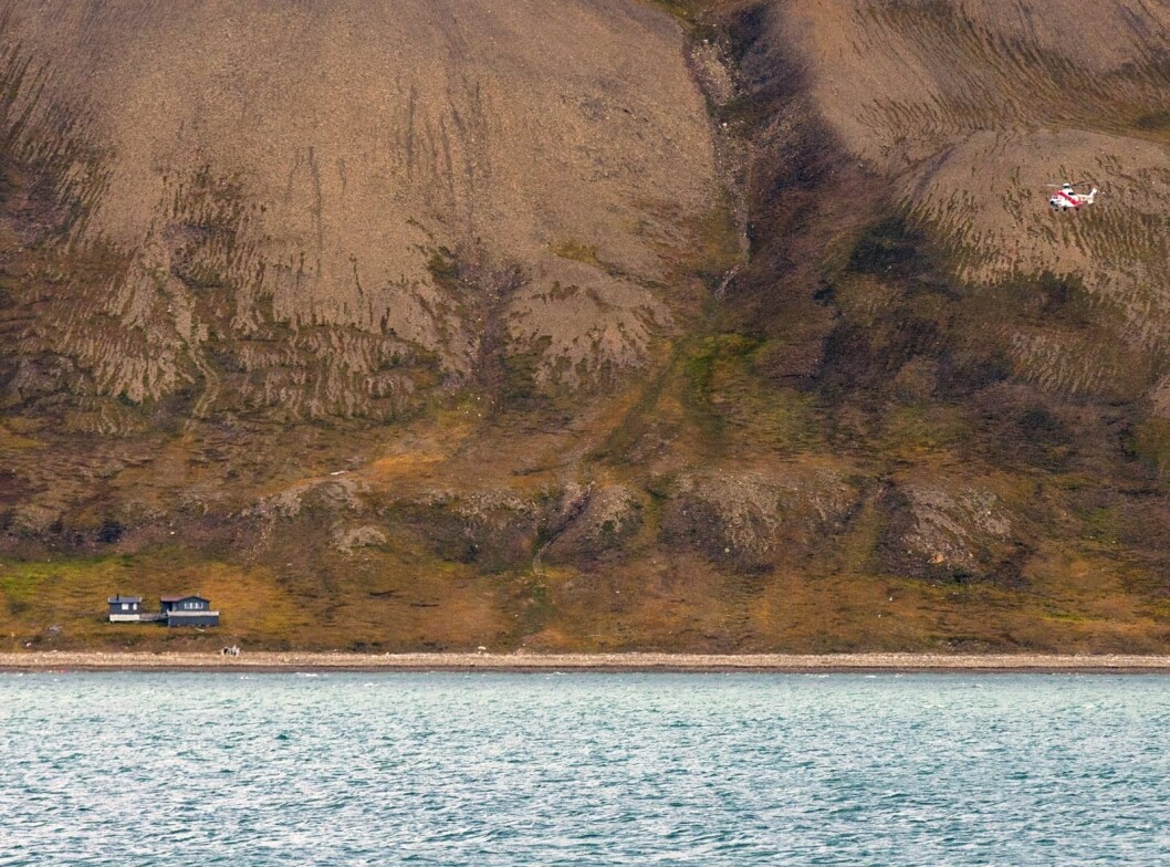 Sysselmannen i helikopteret øverst til høyre i bildet jaget bjørnen, som ikke kan ses, vekk fra hytteområdene i Hjorthhamn lørdag formiddag. Sysselmannen i helikopteret øverst til høyre i bildet jaget bjørnen, som ikke kan ses, vekk fra hytteområdene i Hjorthhamn lørdag formiddag.
