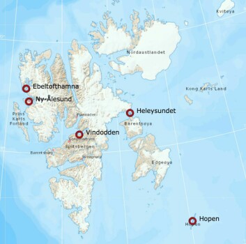 Siden mai er det funnet rabiesinfisert rev på fire steder på Svalbard. I Ny-Ålesund ble det påvist rabies i en rein.