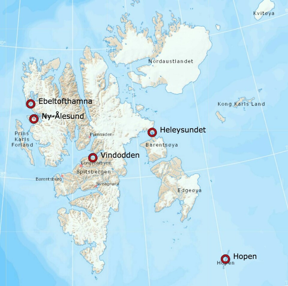 Siden mai er det funnet rabiesinfisert rev på fire steder på Svalbard. I Ny-Ålesund ble det påvist rabies i en rein.