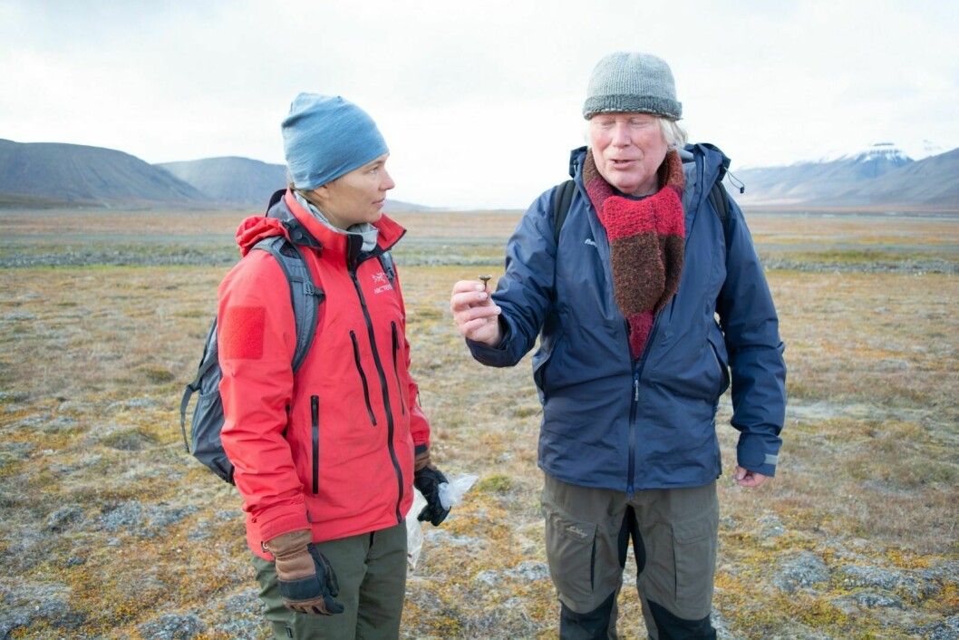 Klaus Høiland forteller Ida Johannessen om de forskjellige soppene på Svalbard.