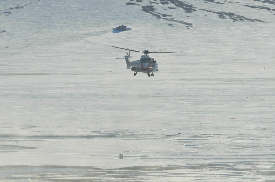 Isbjørn kom vandrende ned Adventdalen tidlig morgenen mandag 27. mai 2019. Den snudde ikke før den nærmet seg SSU og Sysselmannens helikopter kom og skremte den bort.
