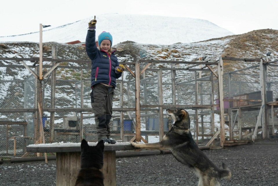 Anna Marie hjelper ofte til i hundegården, hvor familien har sine syv hunder. Her med hundene Tyra og Shira.