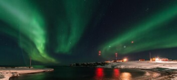 Kan bli færre på Bjørnøya - Hopen er på trygg grunn