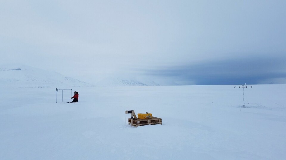 Islaboratorium på Van Mijenfjorden.