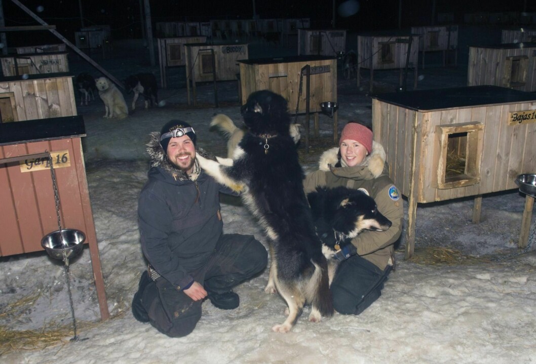 Mia Willman og Audun Salte kjøper bedriften de har vært ansatt i de siste årene. Det har de 95 hundene i Svalbard Husky ingen ting imot.