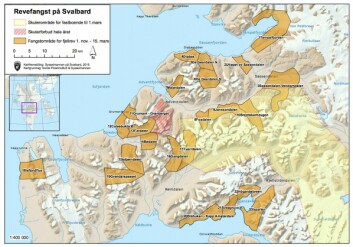 Fangstområder for fjellrev på Nordenskiöld Land.