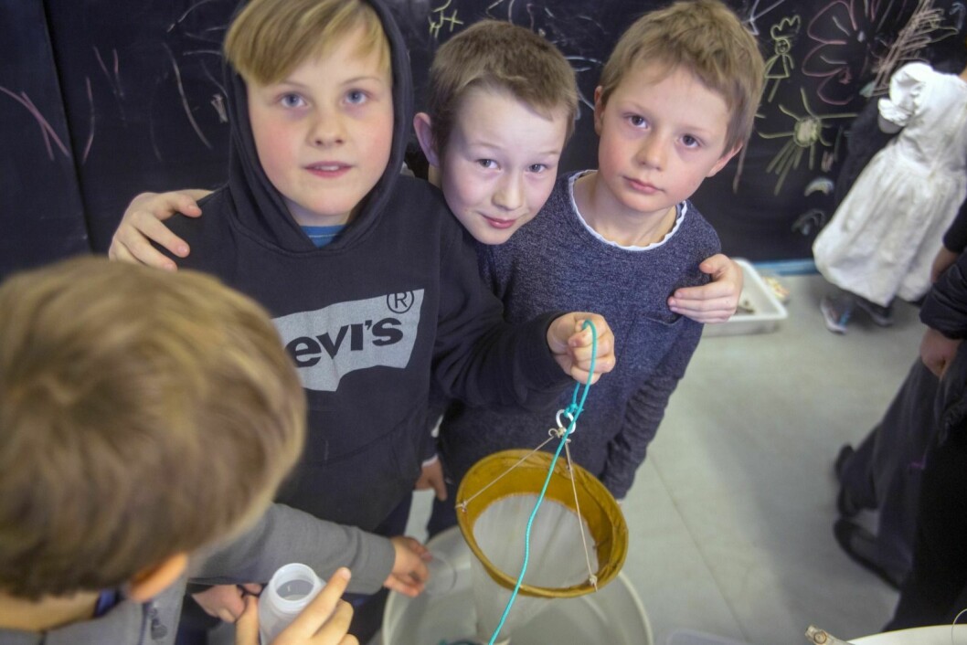 Per Milian Krogstad (f.v. 9), Emil Gjerde (8) og Gustav Todal (8) henter plankton i en bøtte på et av laboratoriene på Unis. Etterpå fikk de studere de små dyrene i mikroskop.