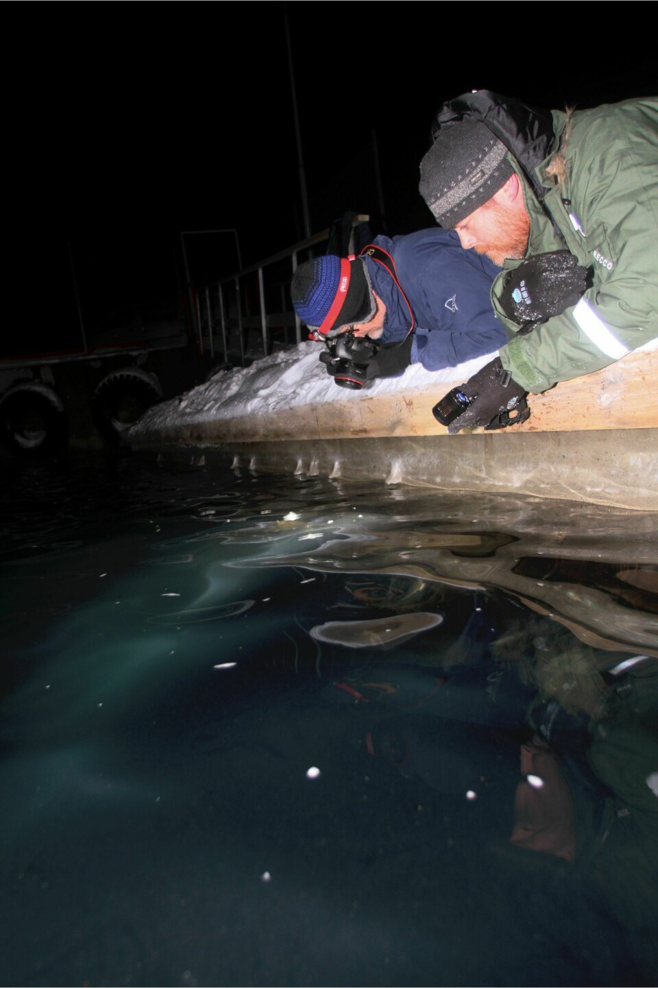Artikkelforfatterne på magen på brygga i Ny-Ålesund i Januar 2017 utstyrt med lommelykt og kamera for å studere hvordan dyreplankton reagerer på lys.