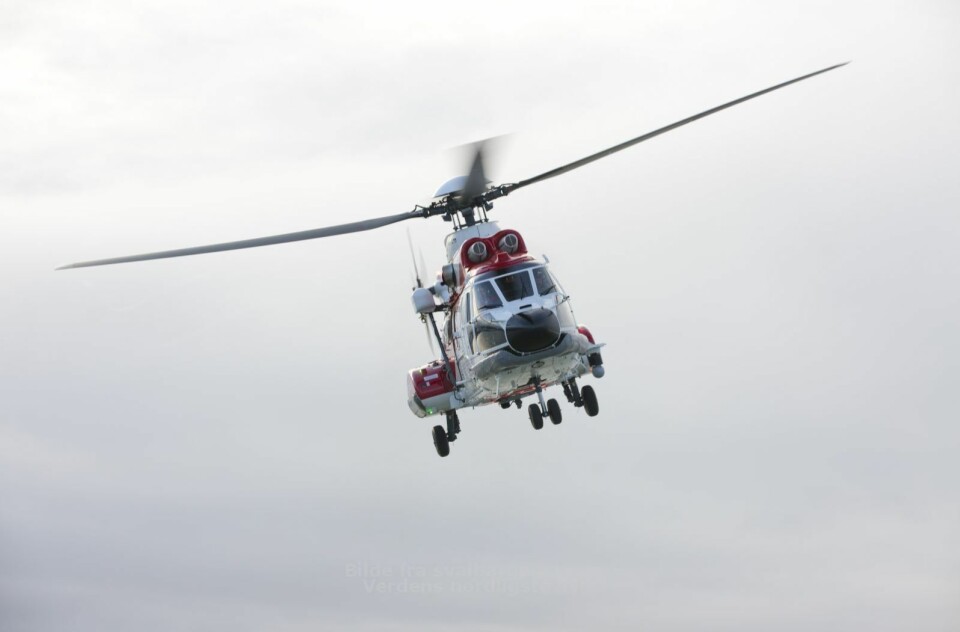 Hund jaget rein og utløste helikopteraksjon