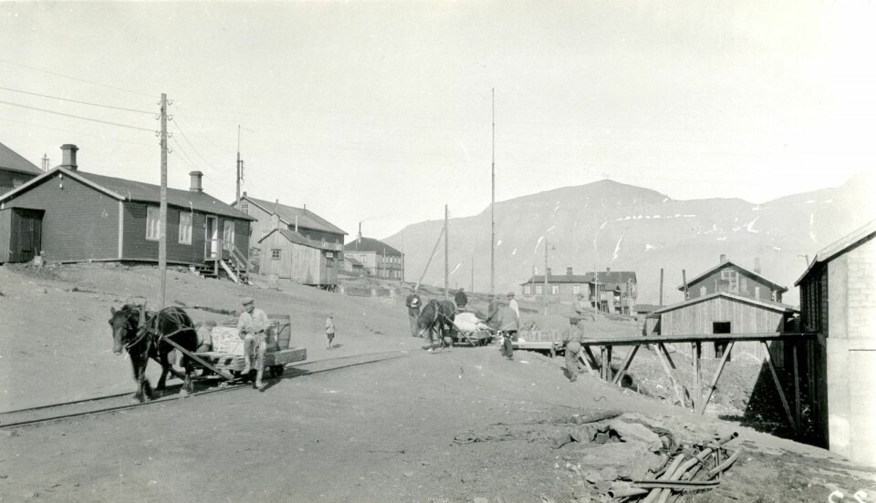 På dette bildet foregår hestetransport på trallebanen i gamle Longyearbyen i 1929.