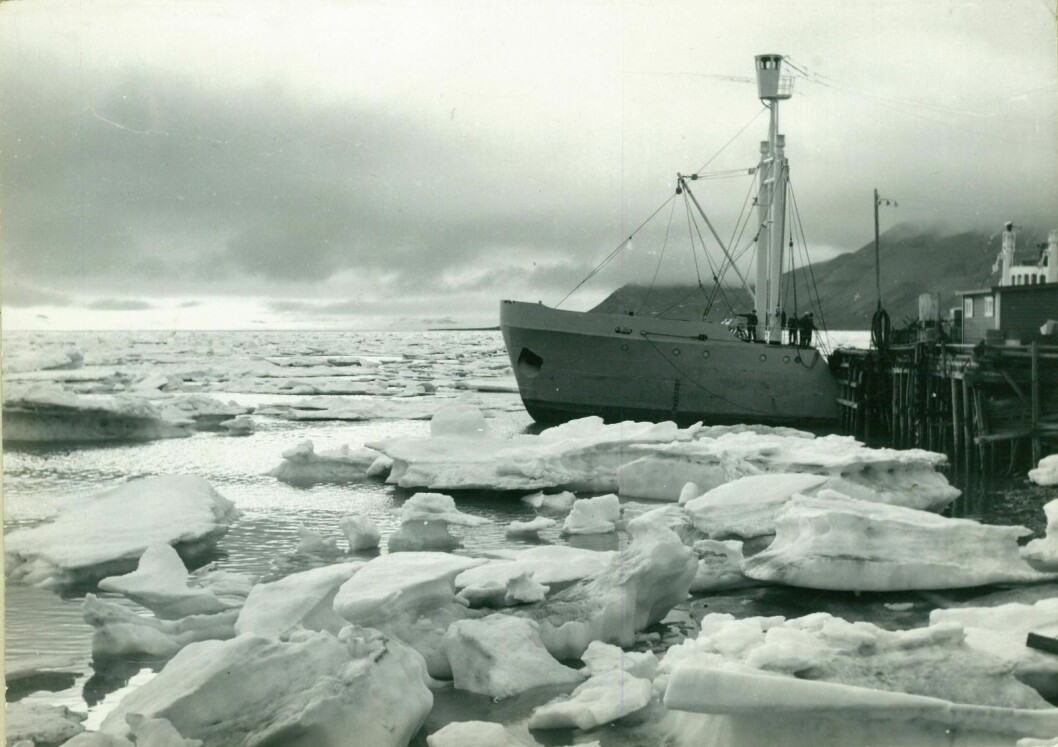 Bildet har tittelen «Nordsel, juni 1963» og viser andre forhold på fjorden enn det vi har i dag.