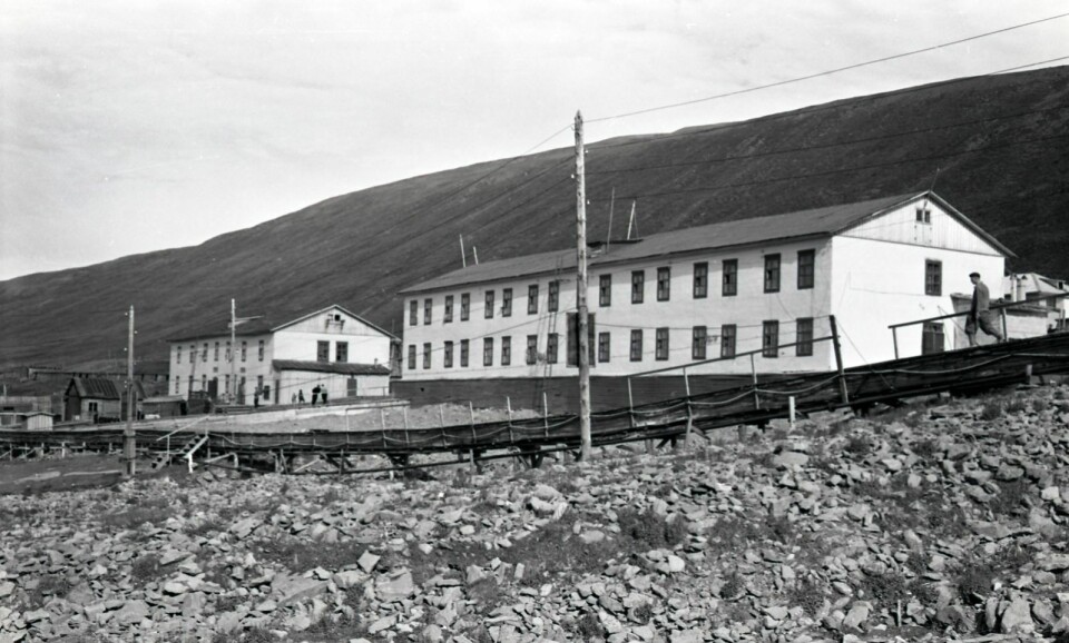 Colesbukta, sommeren 1960 Colesbukta, sommeren 1960
