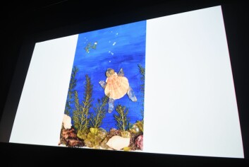Vilde Storø sin kollage «Verdens havbunn» går videre til fylkesfinalen. I bildet har hun brukt ulike materialer som hun har funnet på reiser rundt i verden. Bildet ble vist på storskjerm i kulturhussalen.