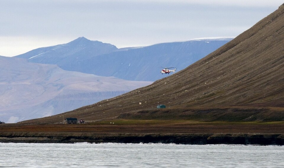 Sysselmannen jager bjørnene mot Revneset, og har satt inn både helikopter og båt i arbeidet.