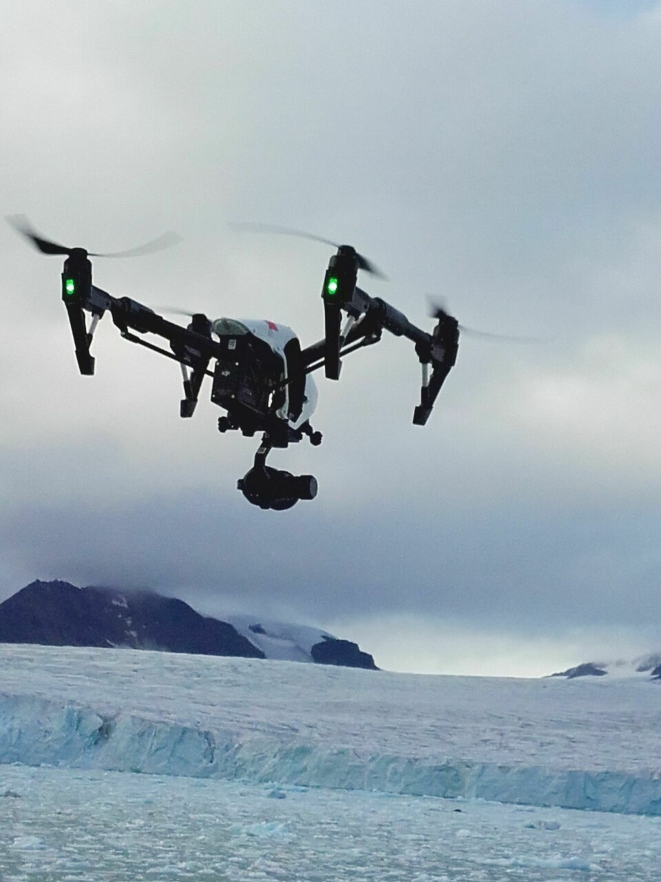 Denne dronen har kamera for å kartlegge utbredelsen av fugler foran brefronten.
