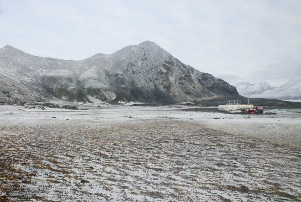 HORNSUND: Isbjørnen ble skremt forbi forskningsstasjonens tankanlegg og bort til Hansbreen som ligger helt til høyre i dette bildet. HORNSUND: Isbjørnen ble skremt forbi forskningsstasjonens tankanlegg og bort til Hansbreen som ligger helt til høyre i dette bildet.
