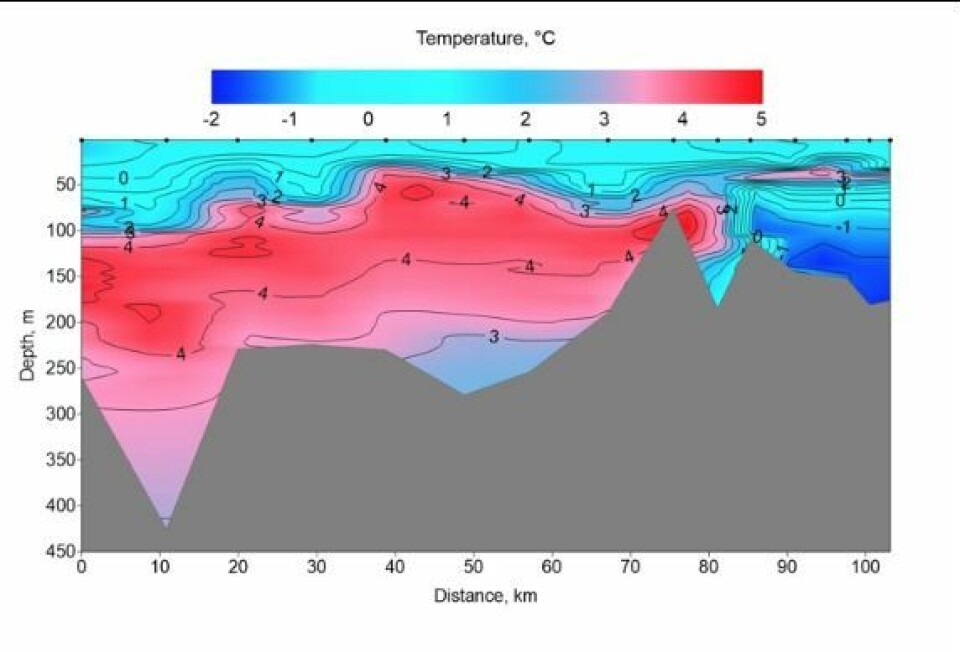 Sjøtemperaturen i Isfjorden den 14 og 15 november 2019 fra ytterst i munningen til innerst i Billefjorden.